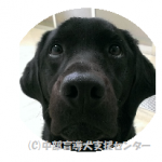 続　リニューアル。